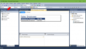 Report Data returns in SSRS