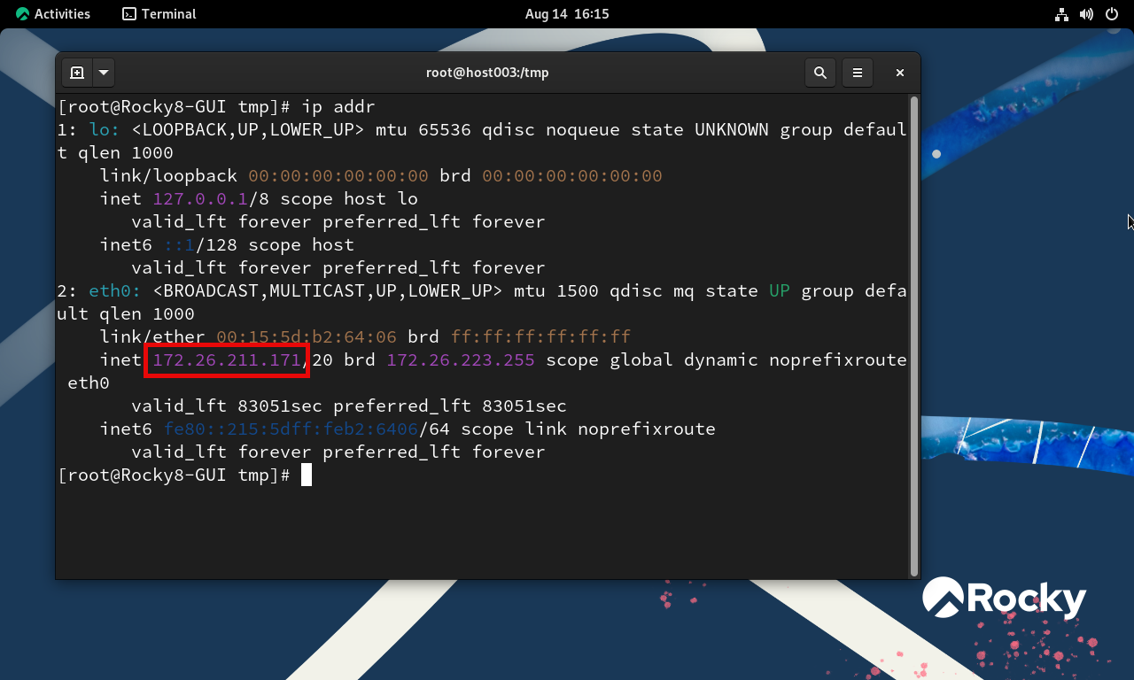 Display Virtual Machine IPs using PowerShell - Rudy.dev